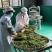 贵州朵贝茶2020新茶一件代发