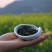 贵州朵贝茶2020新茶一件代发