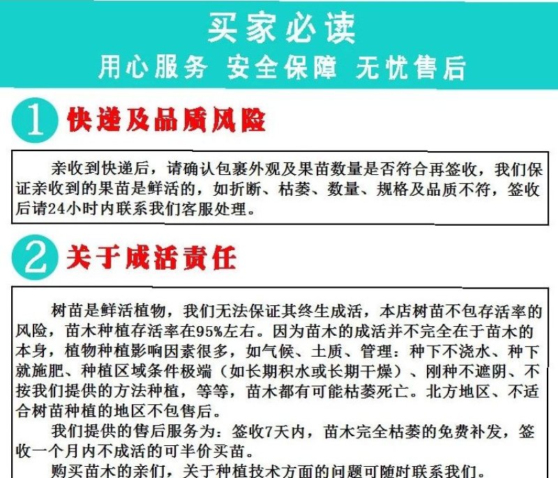 桂味荔枝苗味道香甜美味当年种当年结果