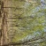 白蜡12公分15公分18公分