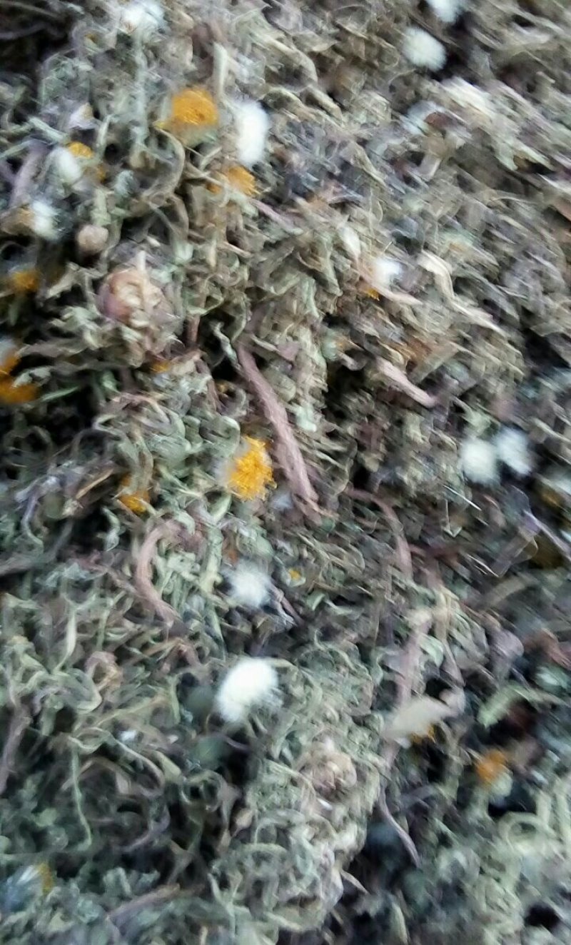 纯野生整株带根干货蒲公英