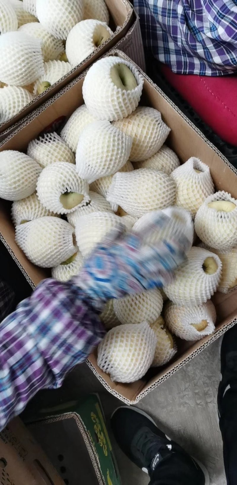 绥中水果