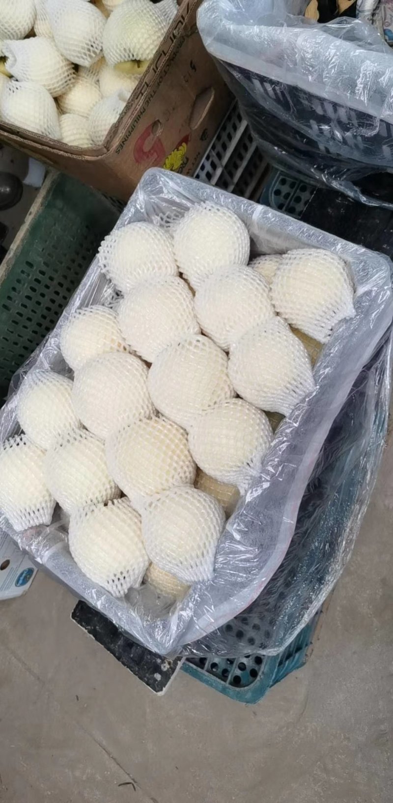 绥中水果