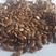 哈萨克斯坦棕色优质亚麻籽，黄色亚麻籽，供加工使用
