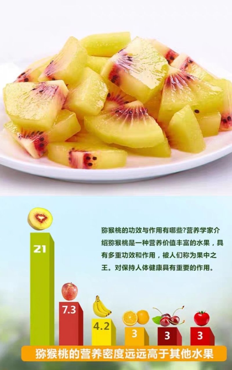 包邮正品【广西灵山县红心猕猴桃杯苗】/直销