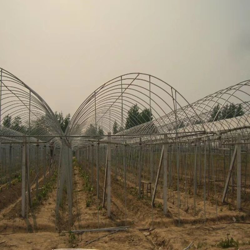 蔬菜大棚大棚骨架。蔬菜养殖养鸡温室大棚。大棚专用