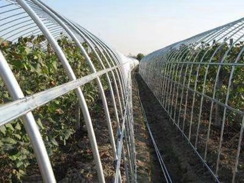 蔬菜大棚大棚骨架。蔬菜养殖养鸡温室大棚。大棚专用