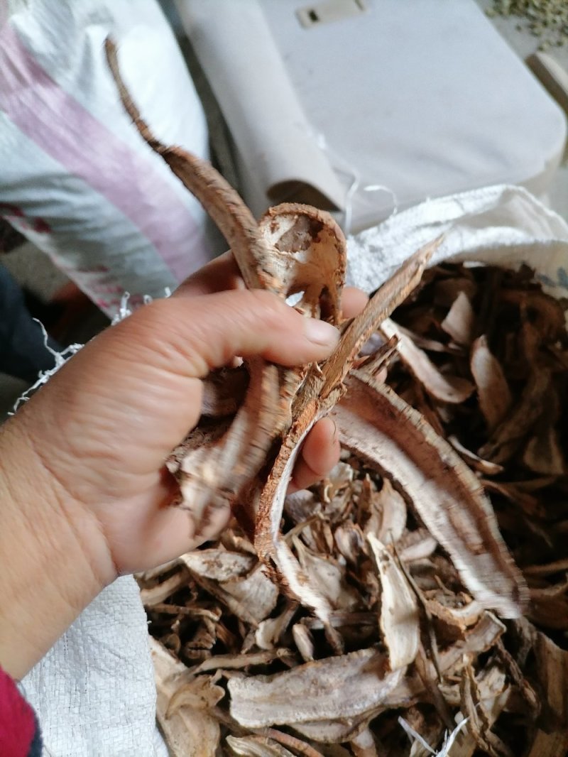 白敛新货零售：批发：一手货源无硫***量大从优