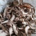 白敛新货零售：批发：一手货源无硫***量大从优
