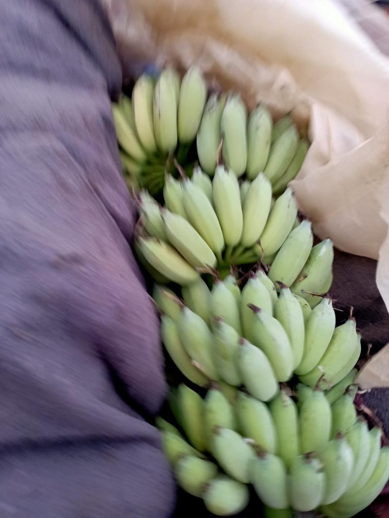 西贡蕉新鲜当季水果蕉甜可口欢迎购买