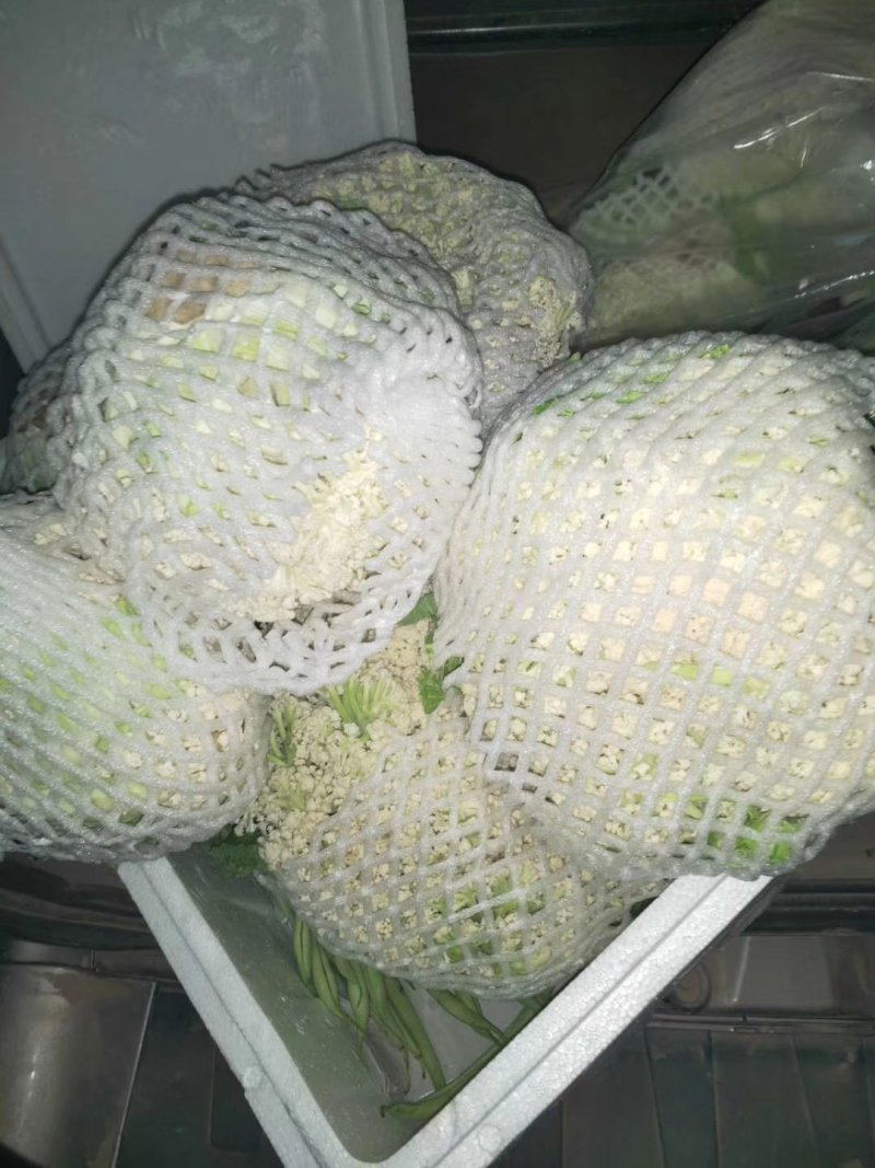 蔬菜市场