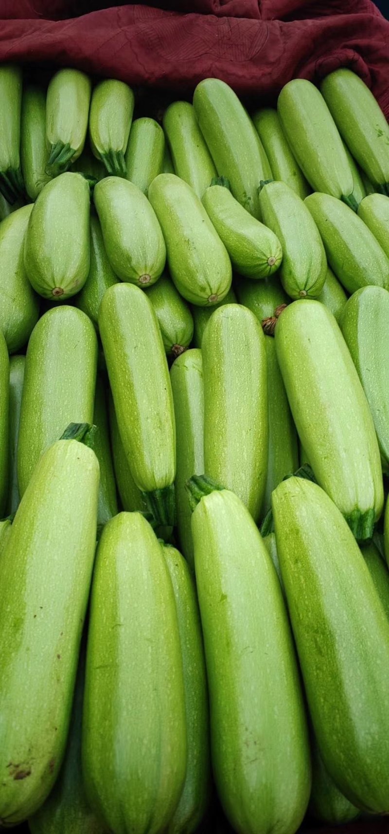 蔬菜市场