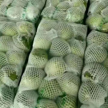 蔬菜市场