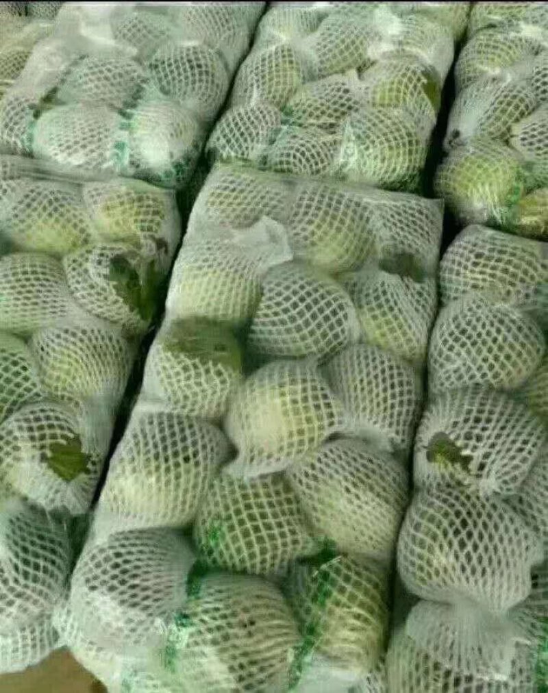 蔬菜市场
