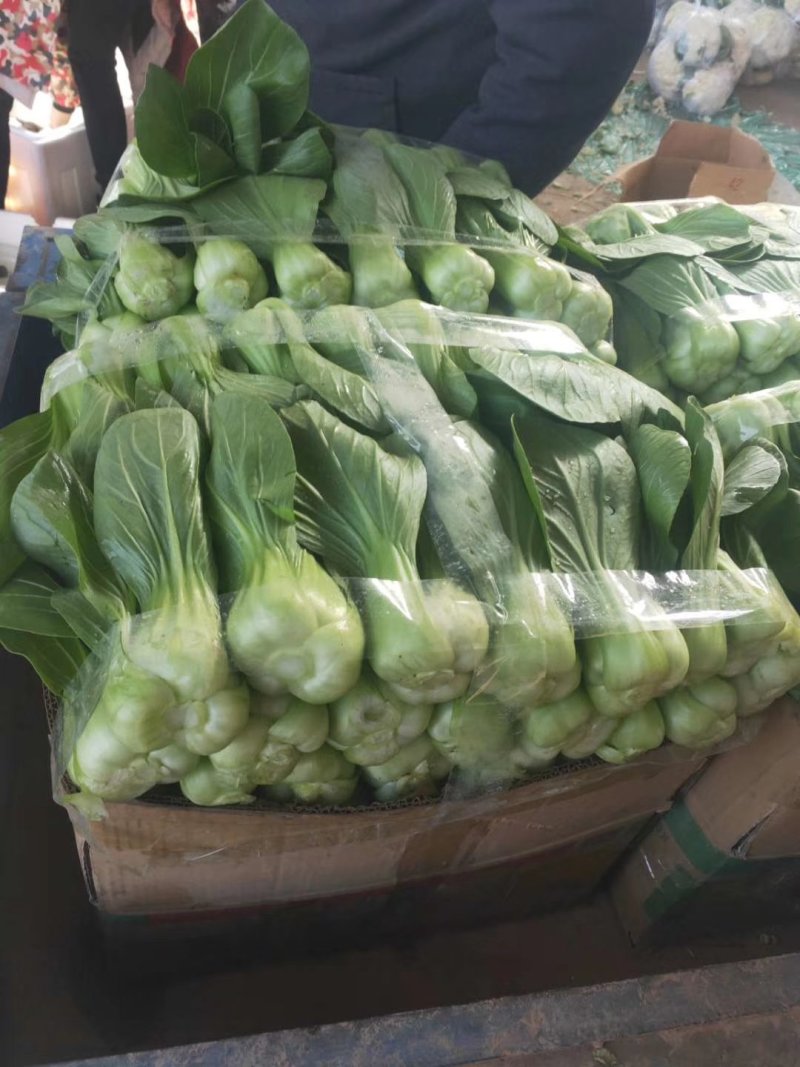 蔬菜市场