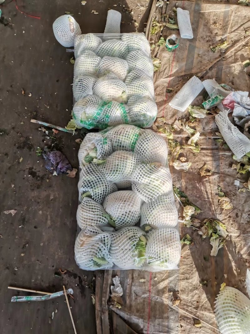 蔬菜市场