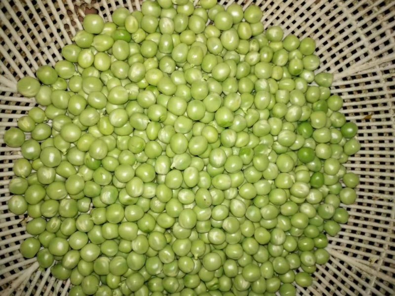 豌豆荚，