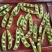 豌豆荚，