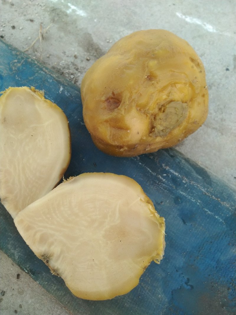 厂家直销，不怕便宜你就来，优质芥菜疙瘩