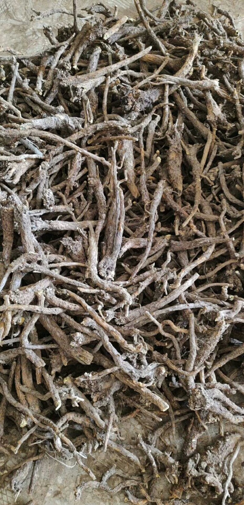 直供优质精选大条，原装统货，