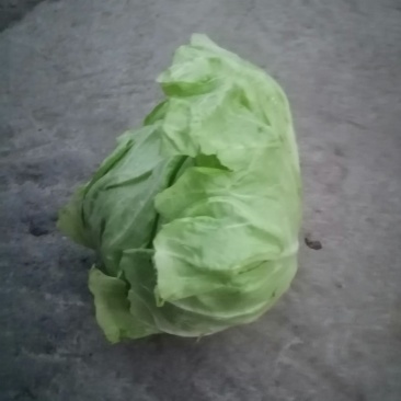 牛心包菜走市场里好