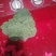 牛心包菜走市场里好