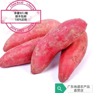 正宗福建漳州六鳌头沙地红薯大号红薯顺丰包邮