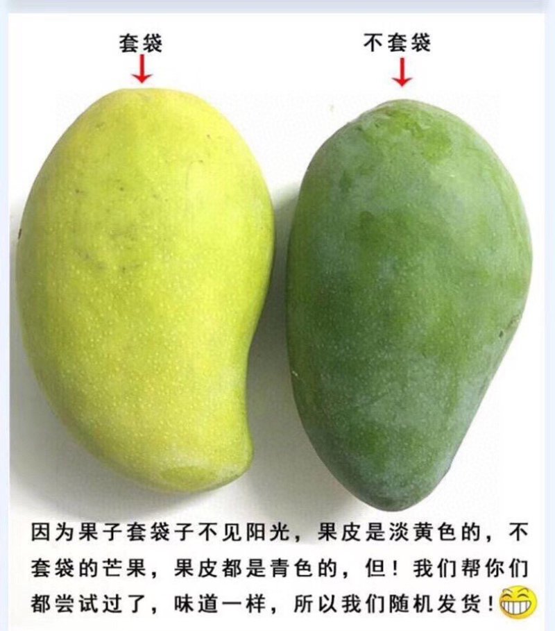 【支持一件代发】青皮金煌芒，新鲜芒果，带青花皮