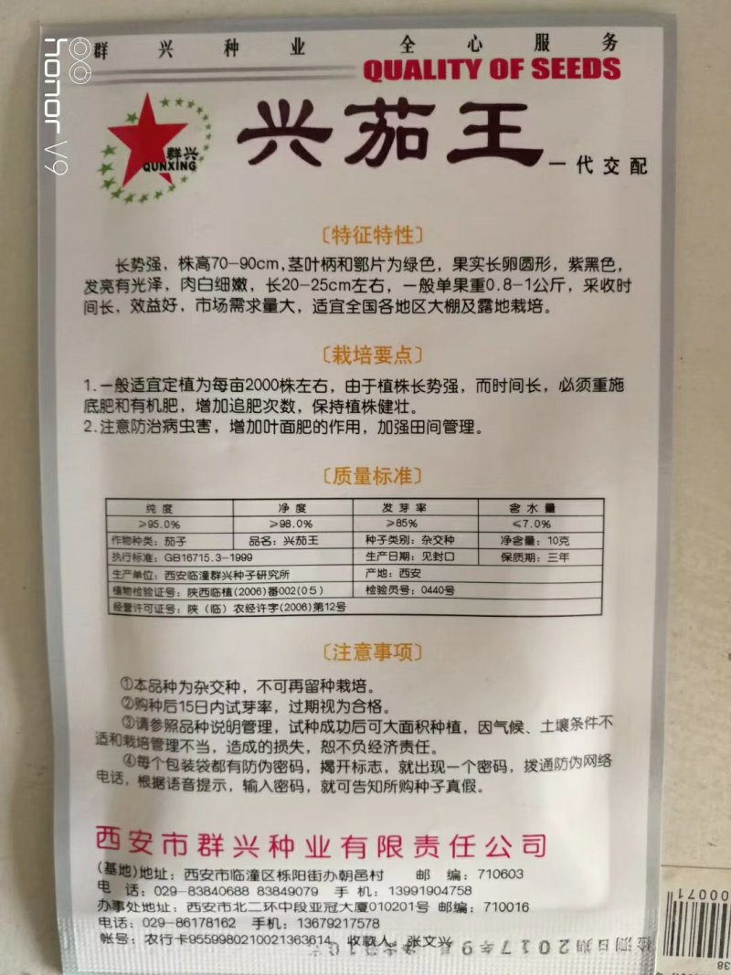 超亮黑将军茄子种子紫黑皮光泽特亮，亩产可达三万斤