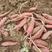 山东沙地西瓜红平度莱西威海沙土地烟薯二五低价千亩基地