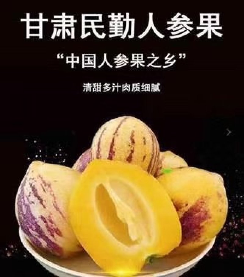 甘肃民勤人参果，品质响誉全国，专业种植，专业代办销售