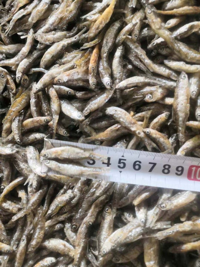 白肖翘白叼子油炸鱼干天然鱼干油炸白条精品鱼干