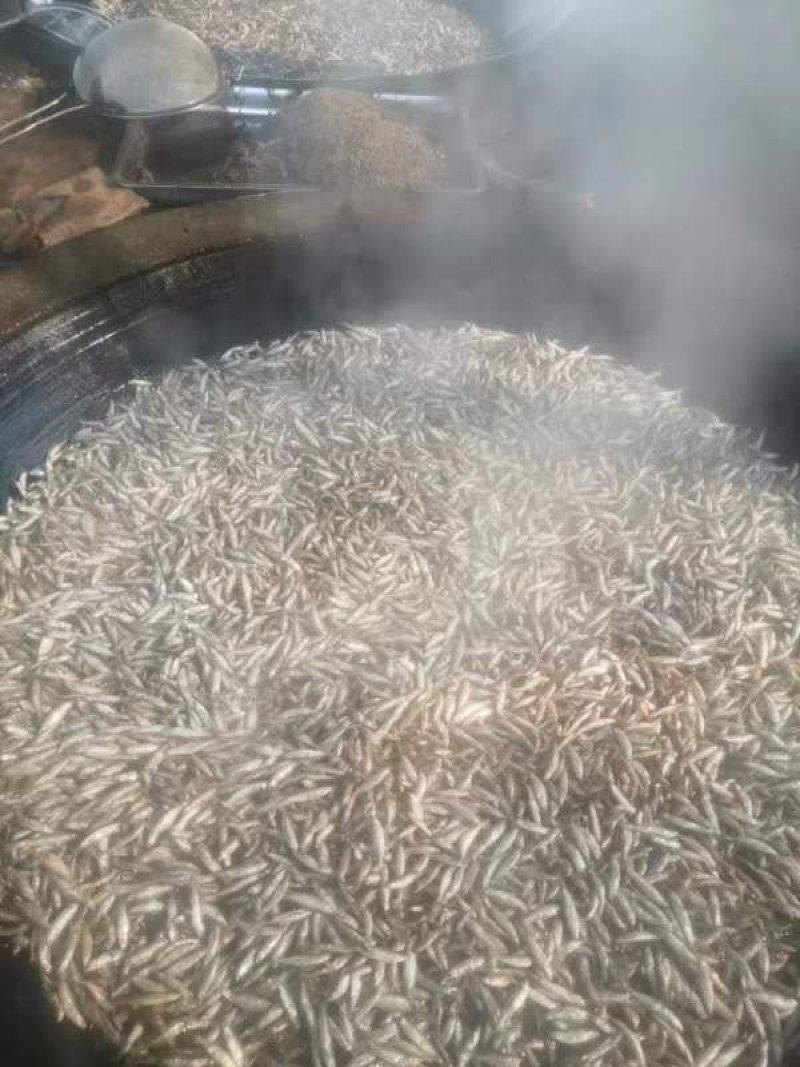 白肖翘白叼子油炸鱼干天然鱼干油炸白条精品鱼干
