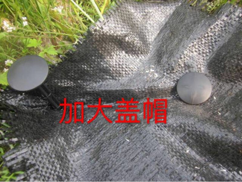 厂家直销果园防草布地钉除草布地钉园艺地布钉黑色绿色塑料地