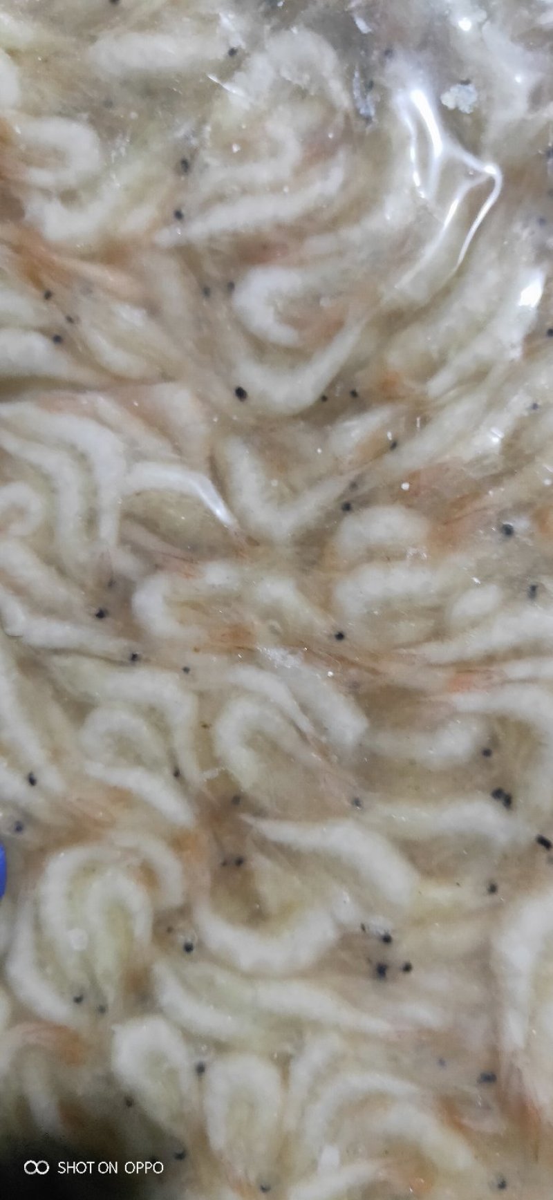 速冻白虾