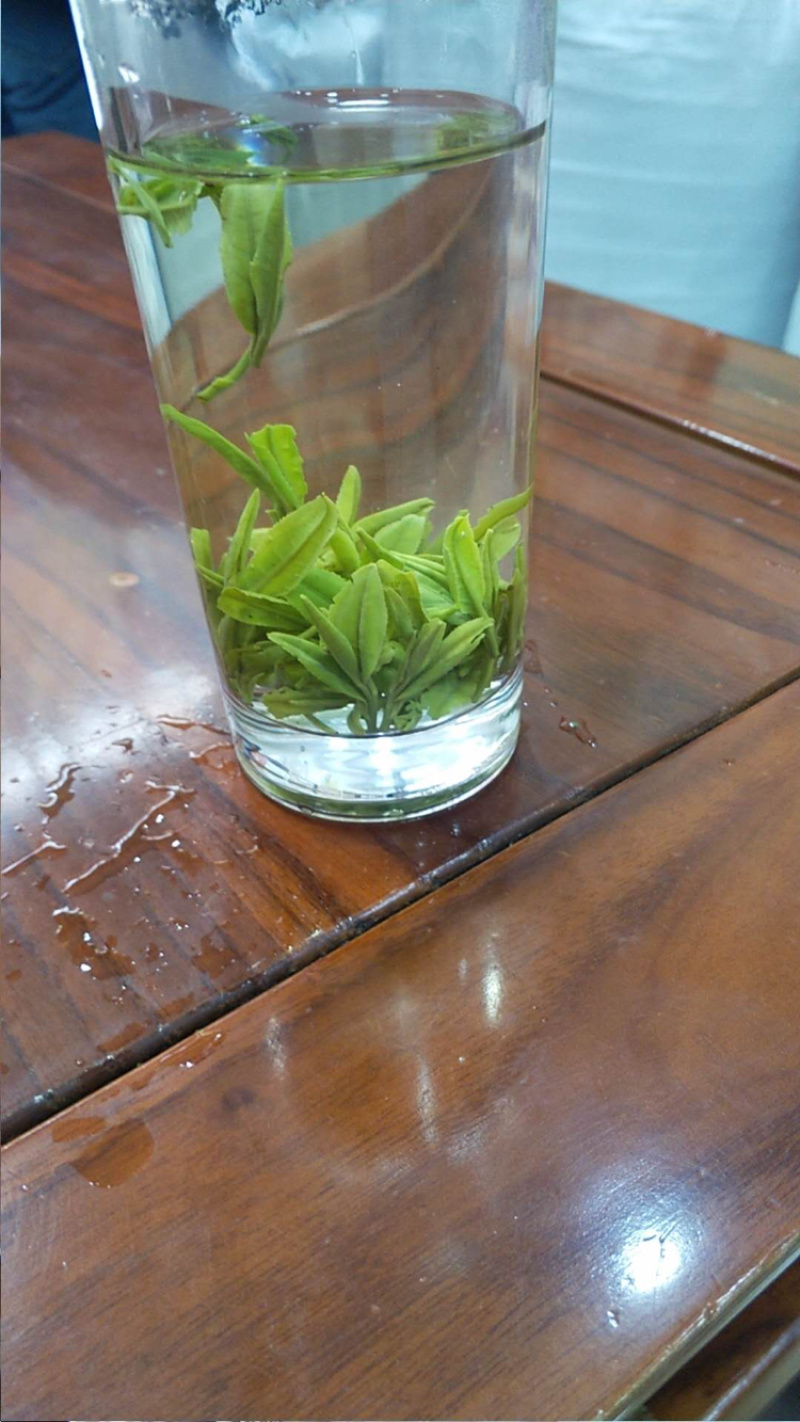 湖北恩施富硒龙井香茶