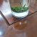 湖北恩施富硒龙井香茶