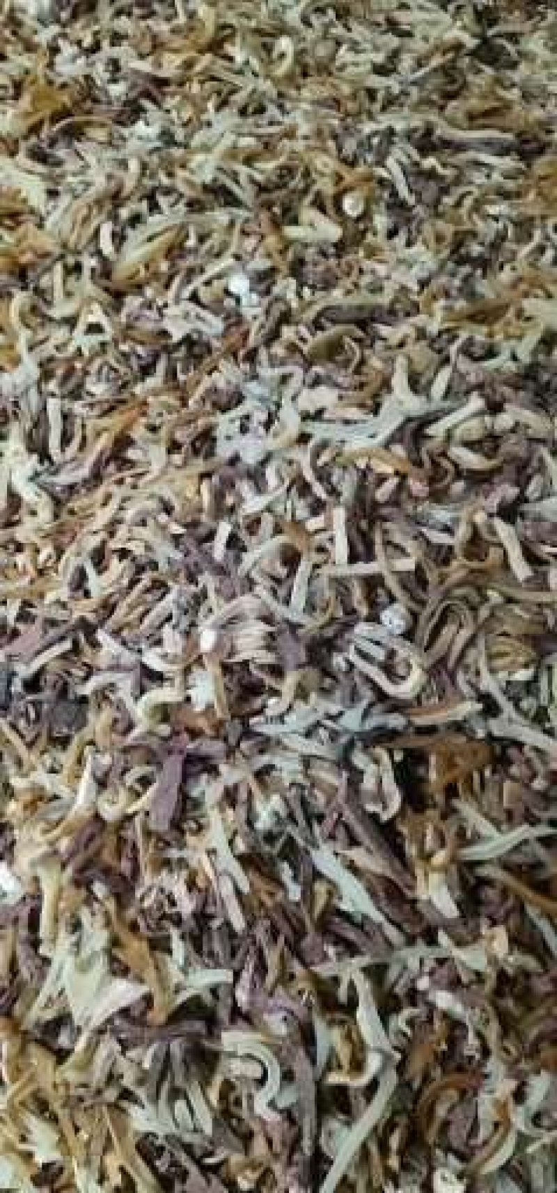 精品牛杂，价格美丽，无异味，比例好，量大从优