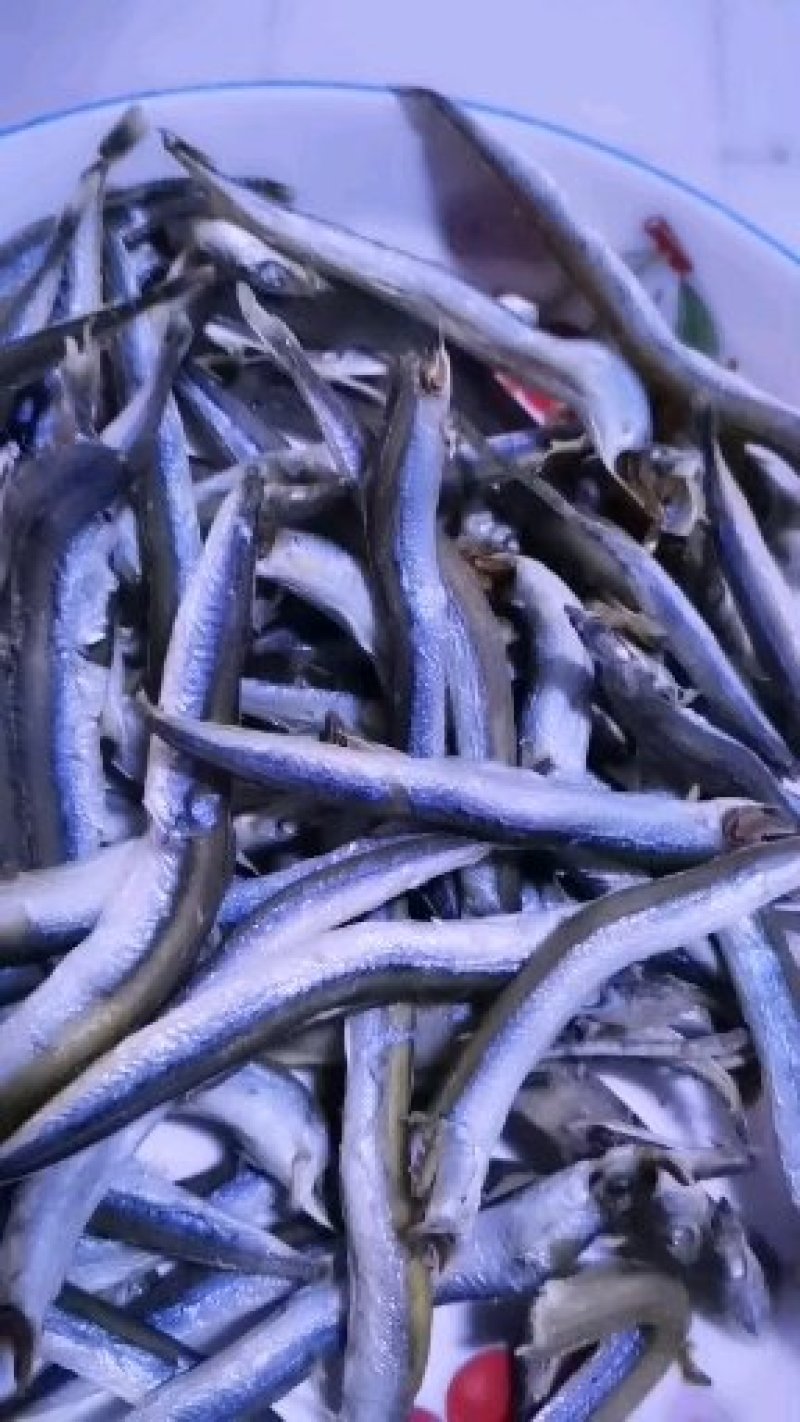优质银针鱼，产地直销质优价廉批发各种规格
