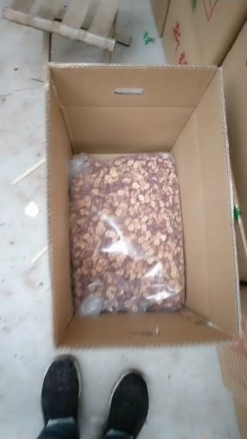 食品厂专用打粉新疆灰枣小圈
