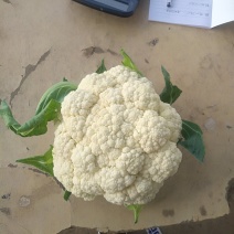 蔬菜