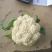 蔬菜