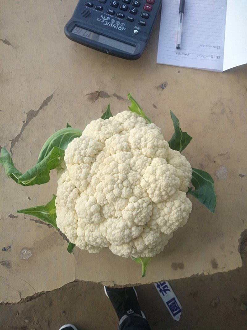 蔬菜