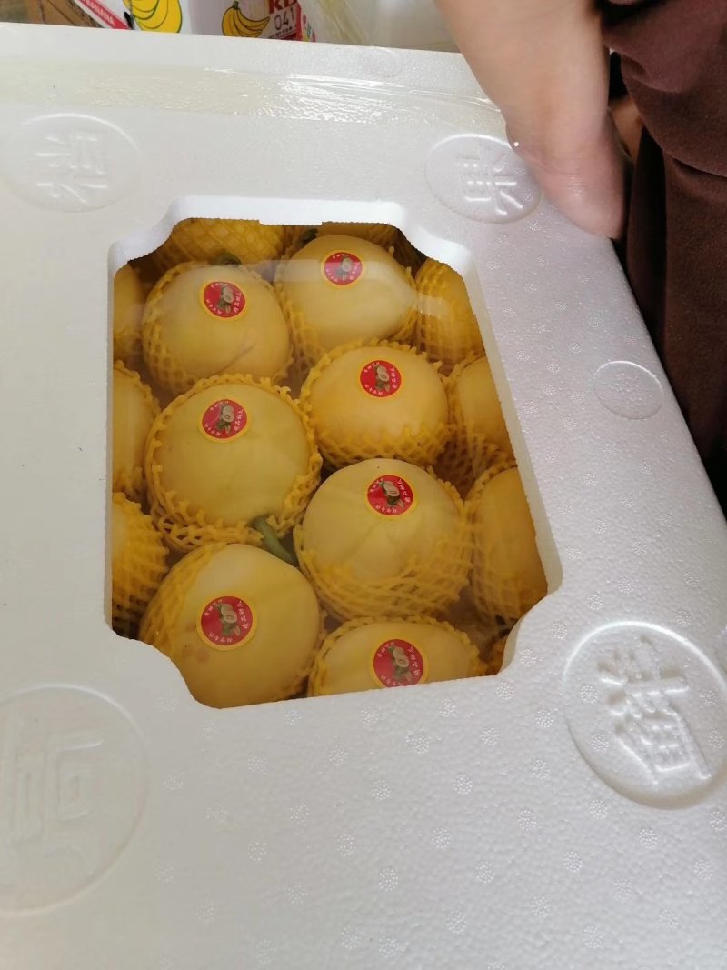 甜瓜大量供应，欢迎新老客户前来采购