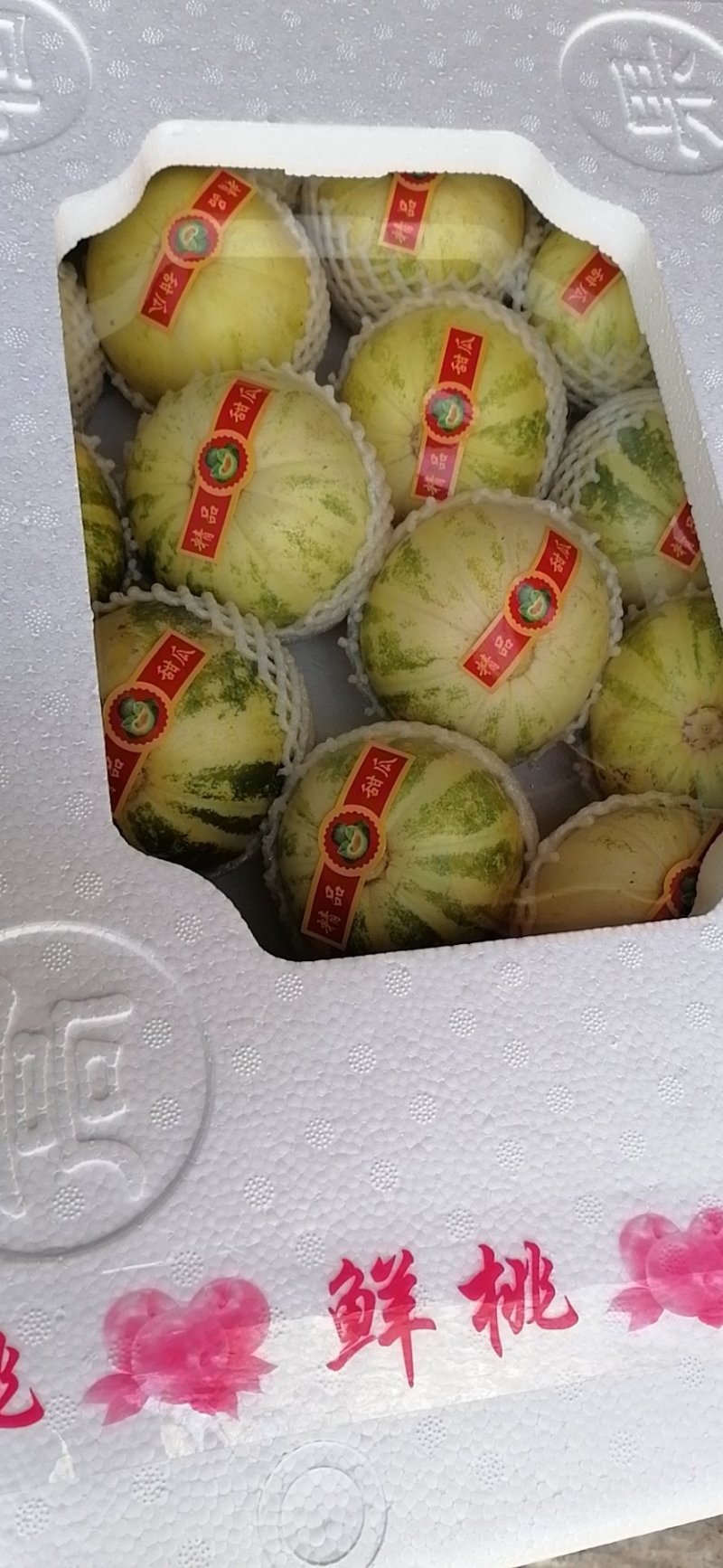 甜瓜大量供应，欢迎新老客户前来采购