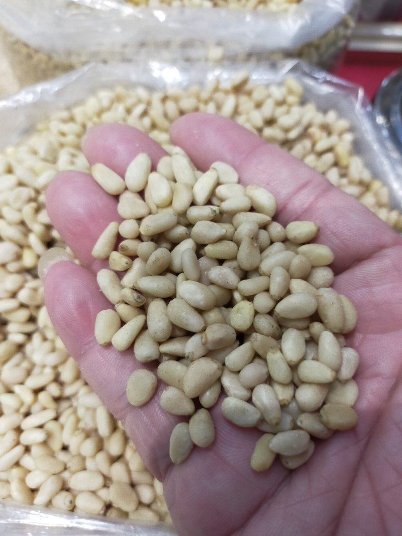 东北雪松仁～仁白香脆～质量好～饭店必备