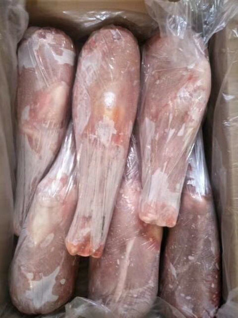 乳牛腿！乳牛前腿！乳牛后腿！牛小腿全系列乳牛产品