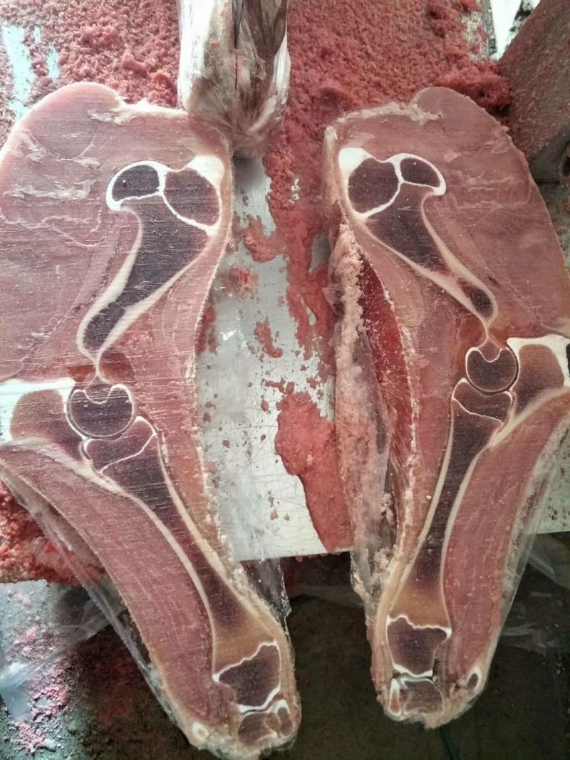 乳牛腿！乳牛前腿！乳牛后腿！牛小腿全系列乳牛产品