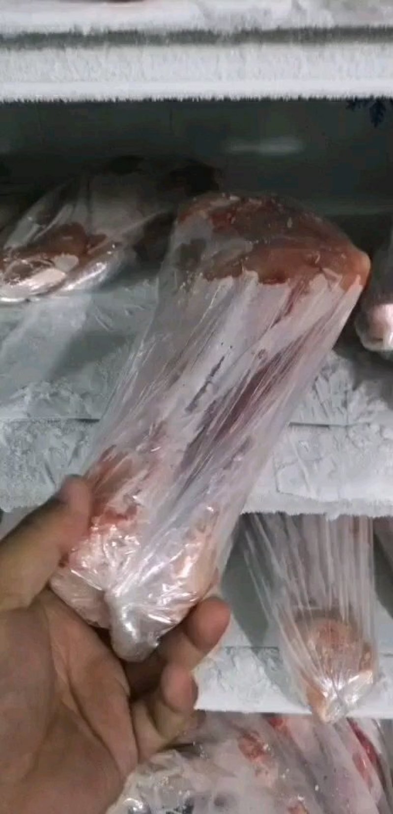 乳牛腿！乳牛前腿！乳牛后腿！牛小腿全系列乳牛产品