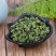 桑叶茶批发零售全店商品包邮子露生物科技欢迎选购